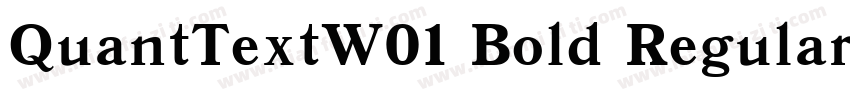 QuantTextW01 Bold Regular字体转换